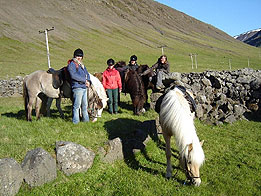 Riding group on a break - click image for larger picture
